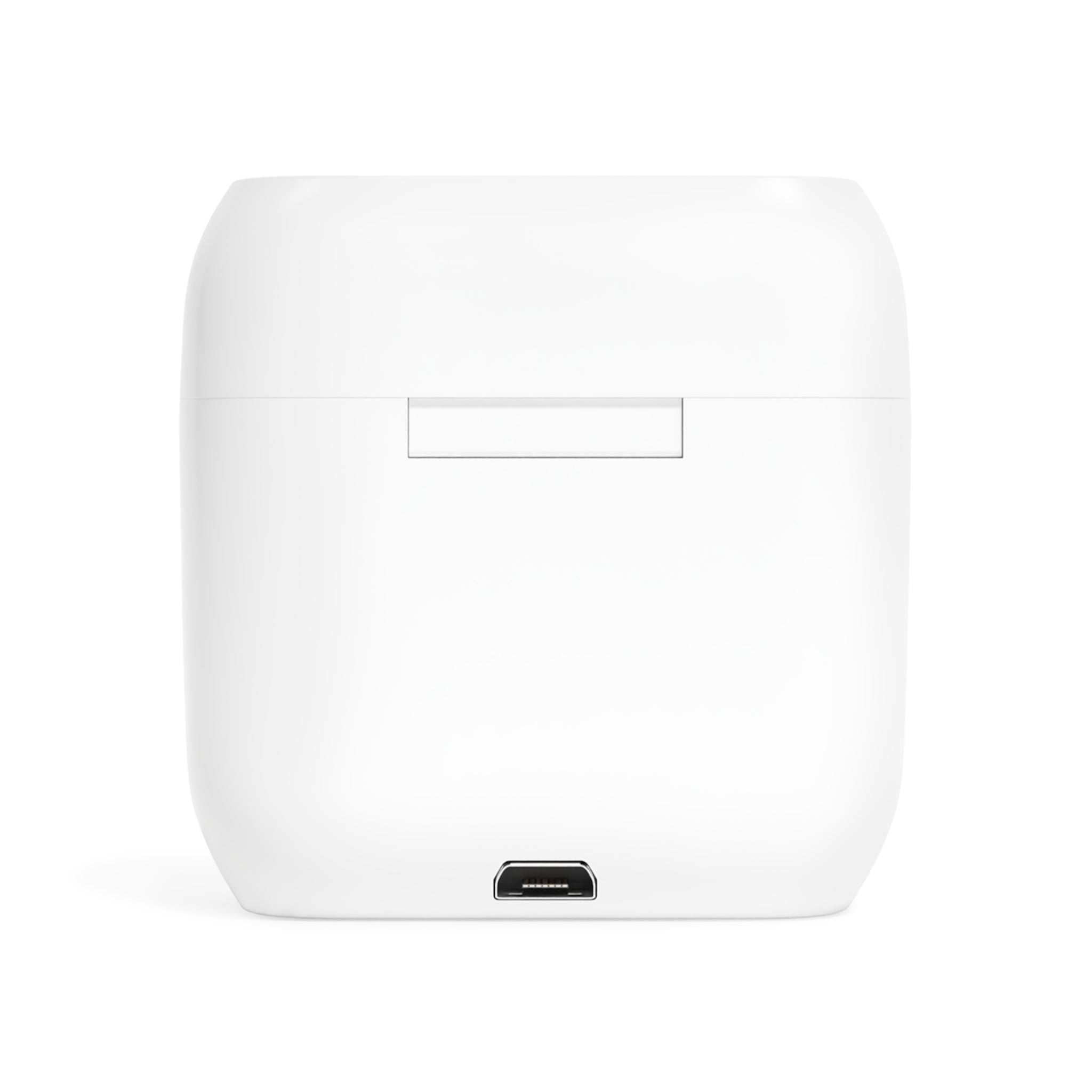 Dachshund Paw Print Wireless Earbuds with Case